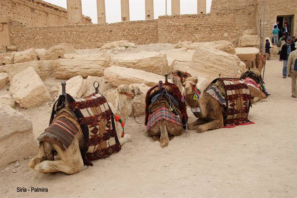 Syria - Palmyra