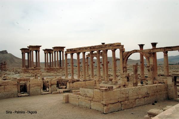 Syria - Palmyra -Agora