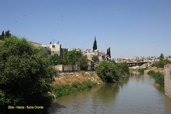 Syria - Hama - Orontes river