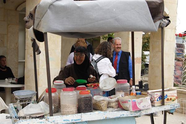 Syria - Apamea - Parking