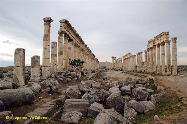 Syria - Apamea - the colonnaded street