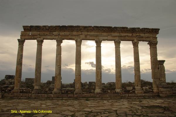 Syria - Apamea - the colonnaded street
