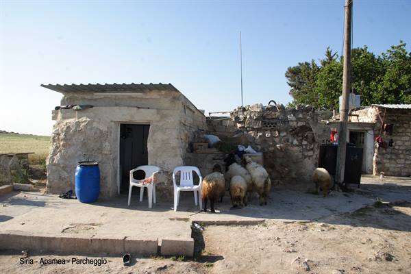 Syria - Apamea - Parking