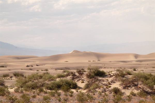 Stovepipe Wells - Sand dune