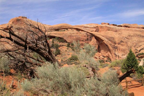 Arches National Park