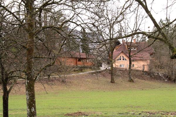 Yellow house with red roof among bare trees and winter green meadow