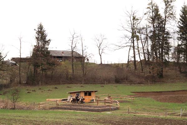 Horses near a wooden fenced shelter, farmhouse and bare trees on the hill