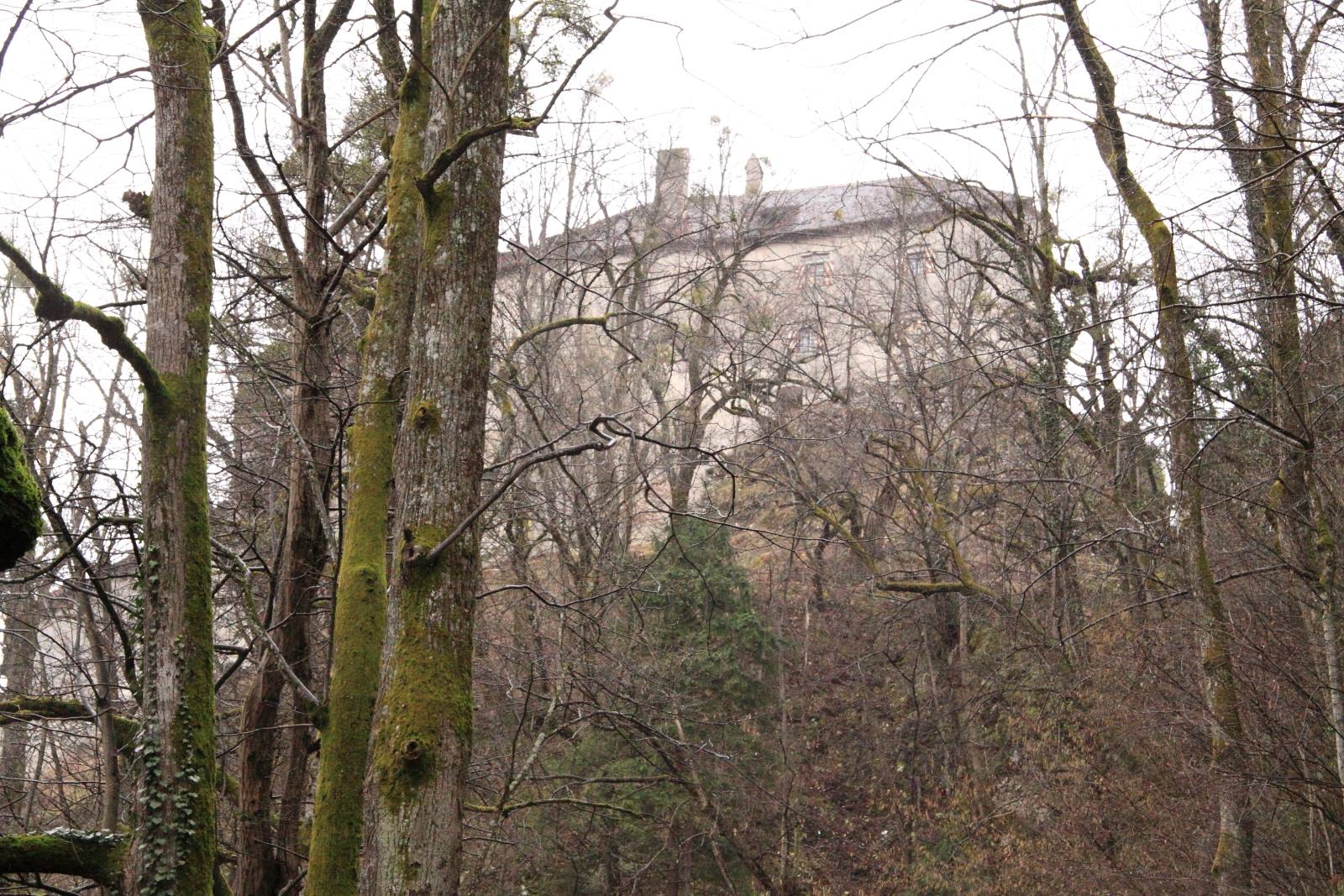 Bled Castle