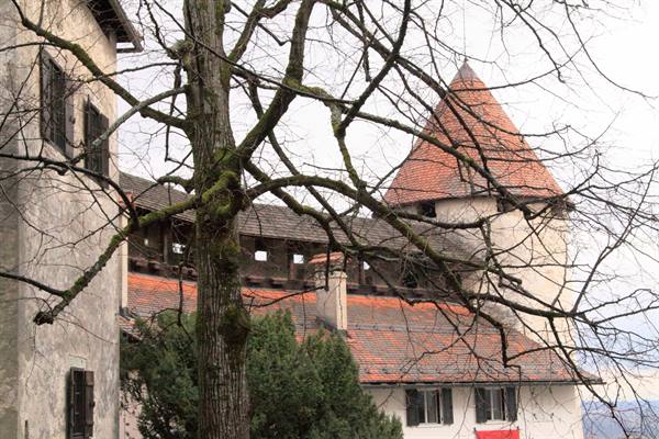 Bled Castle