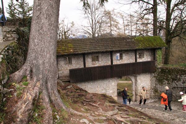 Bled Castle