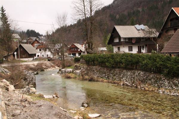 Lake Bohinj