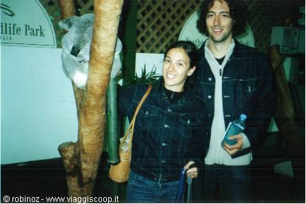 Smiling couple next to a koala on a tree trunk, Featherdale Wildlife Park