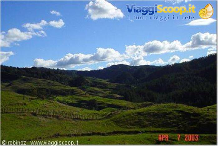 Green hills with wooden fence, dark woods and white clouds under sunshine
