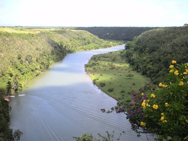 Chavón River winding between green cliffs, yellow flowers foreground, daylight