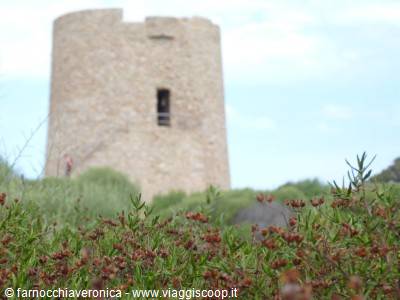 Round stone tower surrounded by Mediterranean scrub and flowering bushes