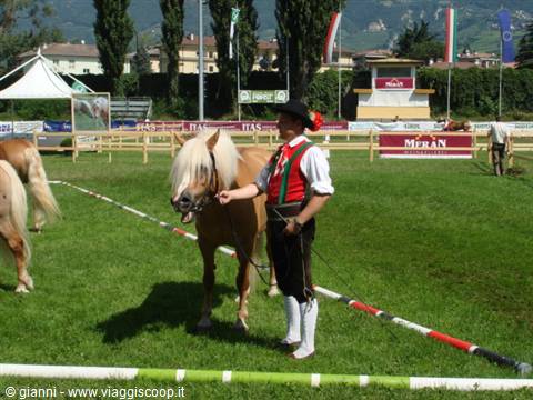 Traditional costume