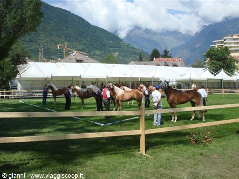 Panorama of part of the presentation
