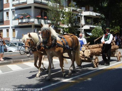 Parade through the streets of Merano 1