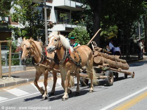 Parade through the streets of Merano 4