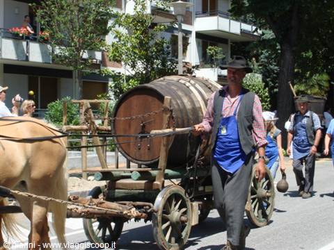 Parade through the streets of Merano 5
