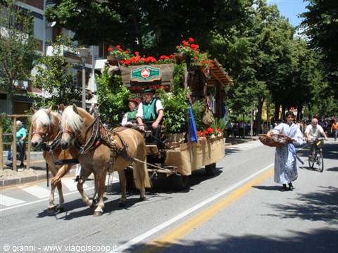 Parade through the streets of Merano 7