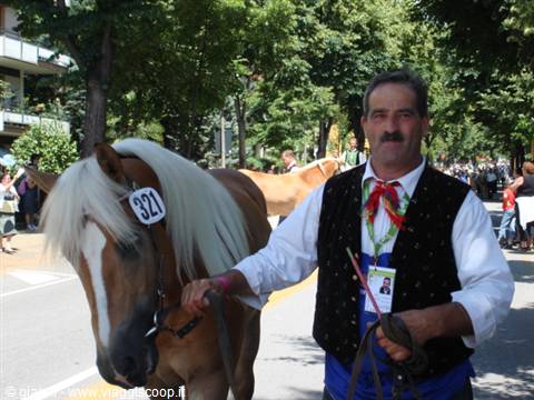 Parade through the streets of Merano 11