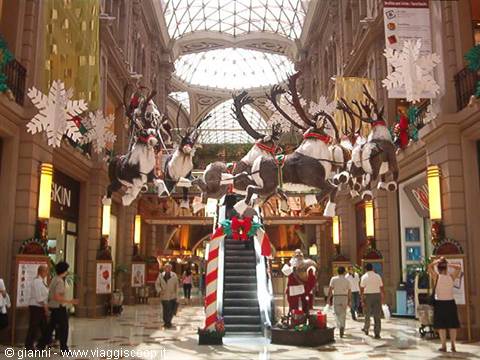 Calle Florida: Pacifico gallery - in a t-shirt at Christmas