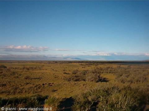 The Patagonian steppe