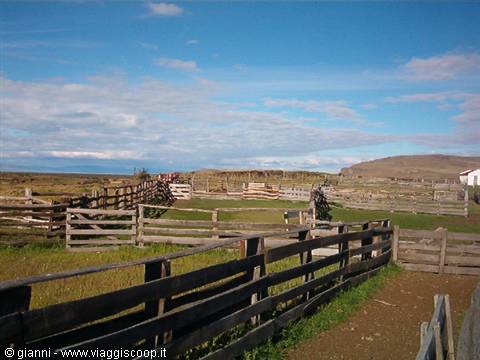 El Calafate, Estancia Alice: sheep pens.