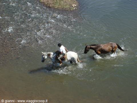 Gaucho.