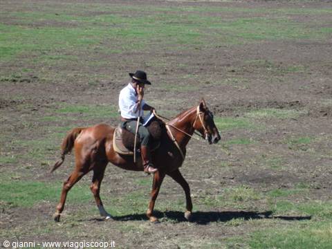 Gaucho of the third millennium.