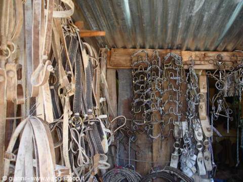 Everything a Gaucho needs for sale.
