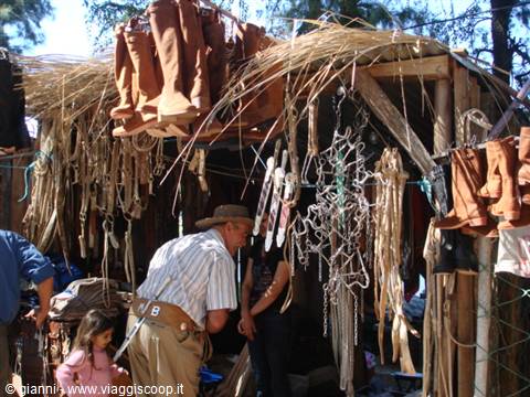 The elderly Gaucho chooses his equipment.