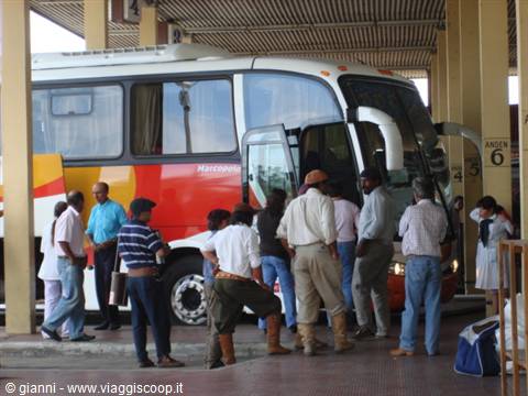 The bus has arrived: we really have to go...