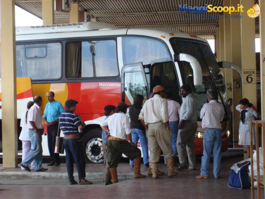The bus has arrived: we really have to go...