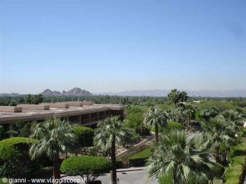 Glimpse of the greenery from the Phoenician Golf Club in Scottsdale