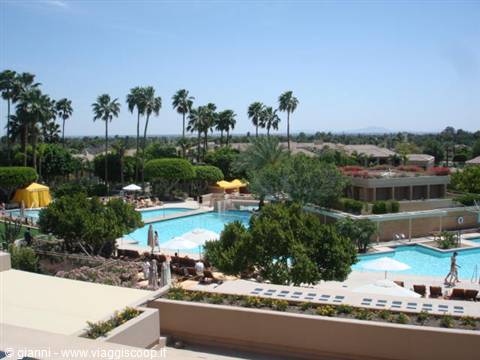 The Phoenician