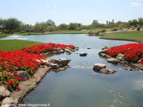 The Phoenician