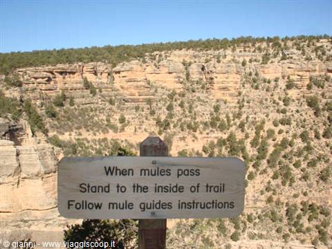 ...when you meet the mules, pedestrians keep to the mountain side...it's...better...!!!