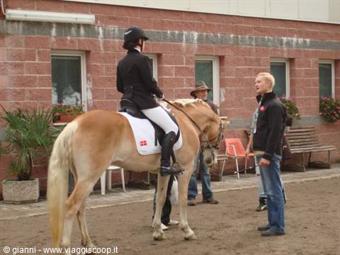 Riding school yard with saddled palomino horse, rider in black talking to instructor
