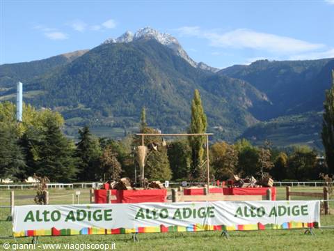 Wooden structures with Alto Adige banners on lawn, snowy mountains behind