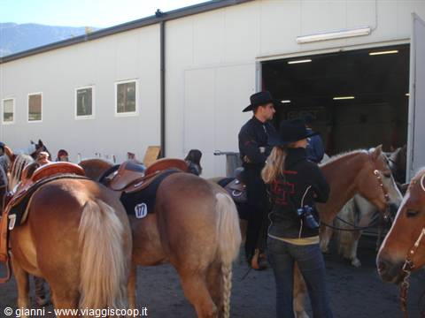 Saddled horses outside the stable, cowboys in black hats preparing to ride