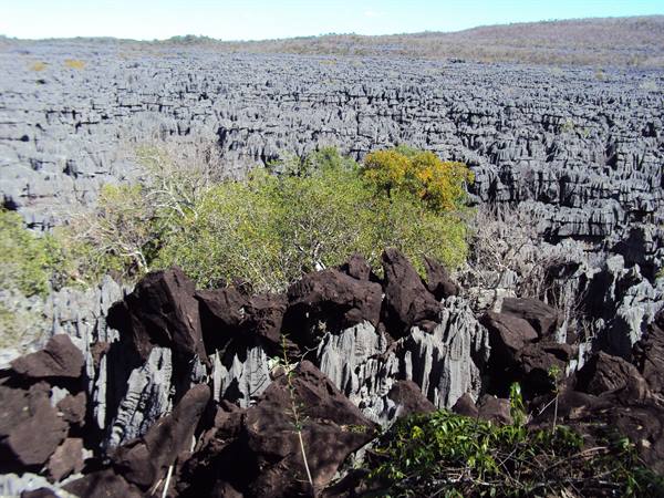 grey tsingy