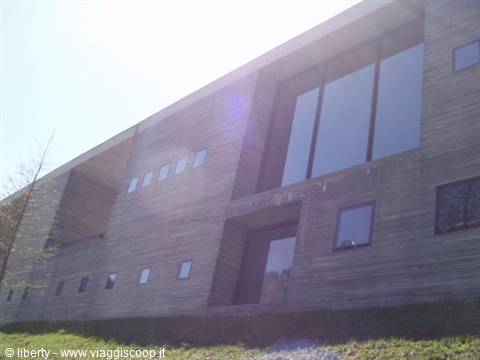 Wooden facade with large glass windows and square panes under bright sunlight