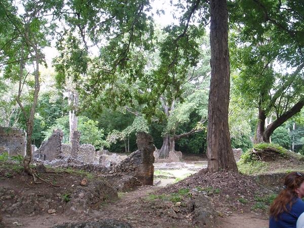 the ruins of gede