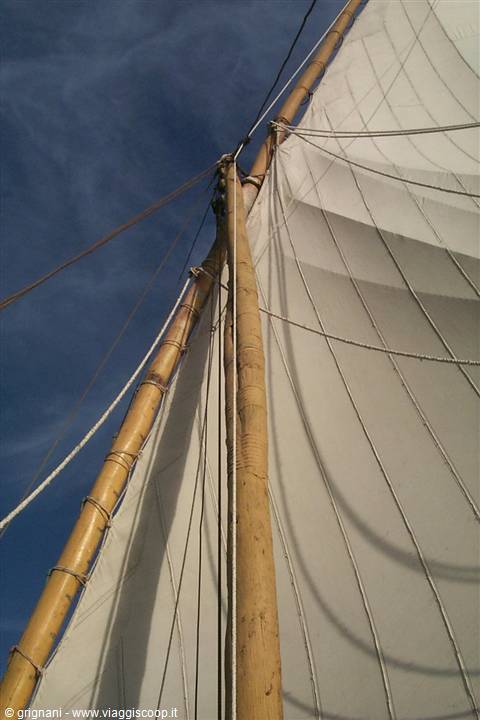 Royal Cleopatra -  the sail