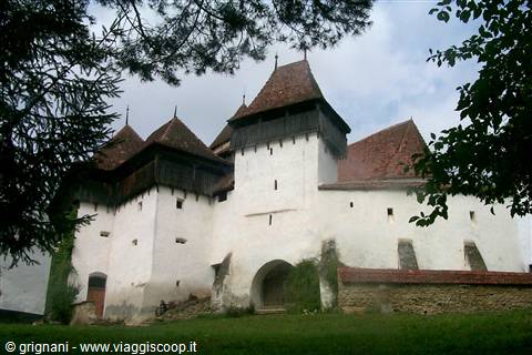 VISCRI - Saxon Fortress