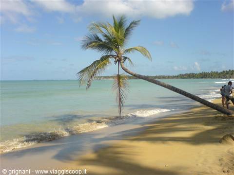 Samana Beach