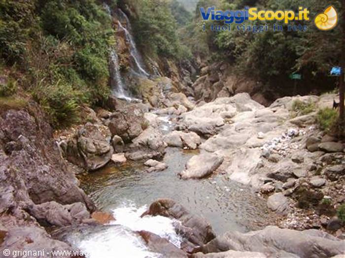 Sapa