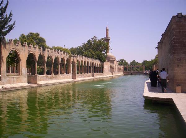 Sanli Urfa, the pool with the sacred carp